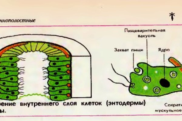 Кракен кз