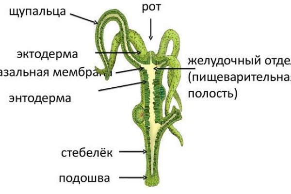 Как регистрироваться и заходить на кракен даркнет