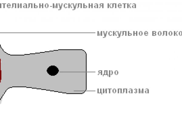 Как перейти на кракен