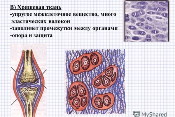 Зеркало kraken тор ссылка рабочее